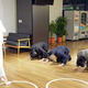 Image for article titled Behold, Extreme Japanese Apologizing